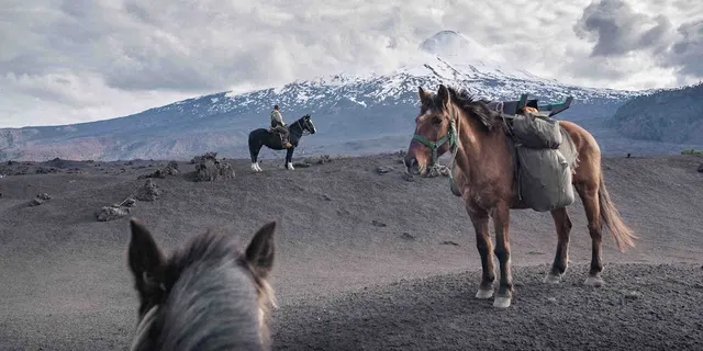 The Road to Patagonia