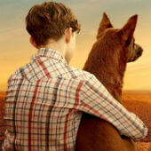 Red Dog: True Blue