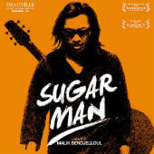 Searching for Sugar Man