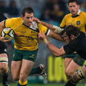 2017 Bledisloe Cup