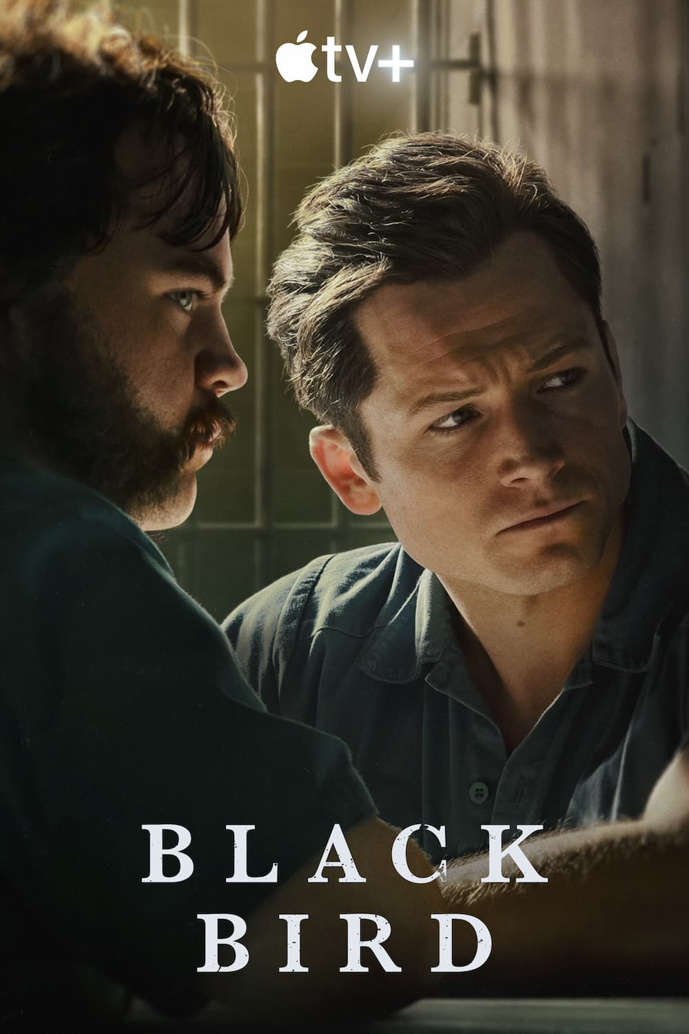 Where to stream Black Bird